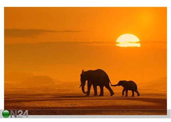 Taulu ELEPHANTS WALKING 180x120 cm