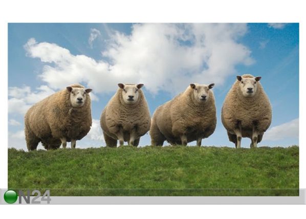 Taulu FOUR SHEEP ON TOP OF THE HILL 101x60 cm