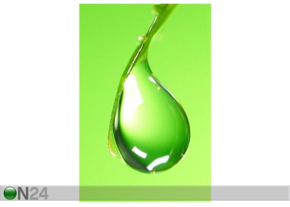 Taulu FRESH GREEN SHOOT 70x105 cm