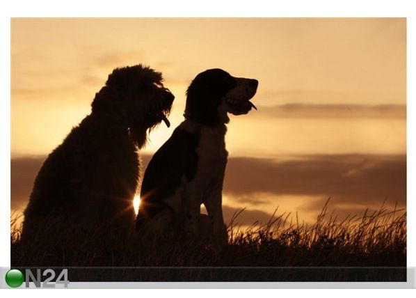 Taulu FRIENDS AT SUNSET 150x100 cm