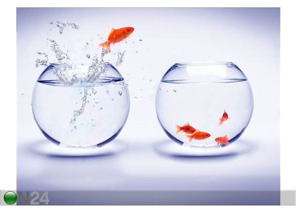 Taulu GOLDFISH JUMP OVER AN AQUARIUM 107x80 cm