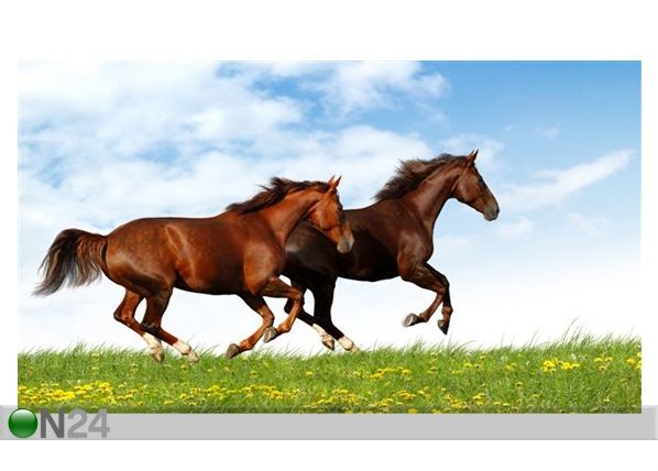 Taulu HORSES GALLOP 106x60 cm