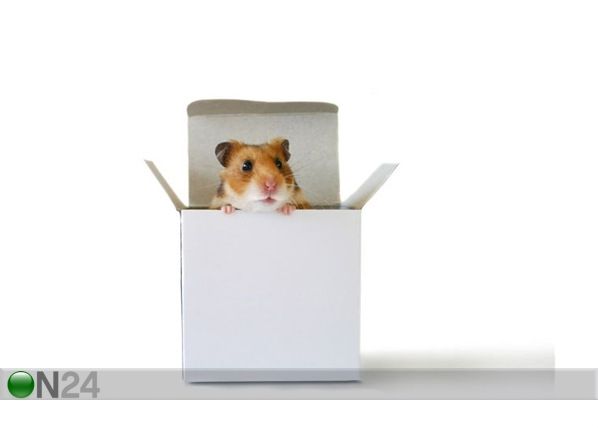 Taulu INSIDE THE BOX 155x120 cm