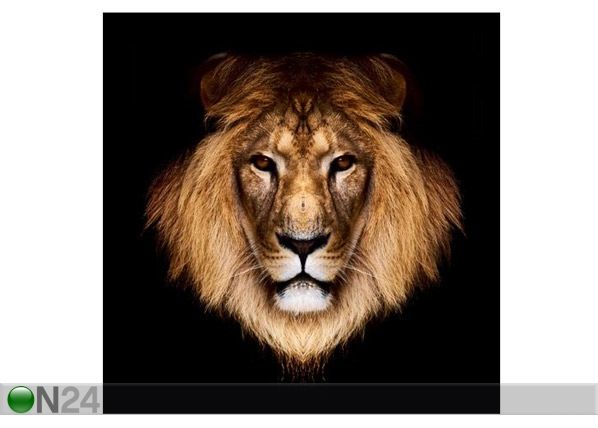 Taulu LION 90X91 cm