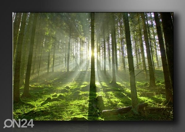 Taulu METSÄ 120x80 cm