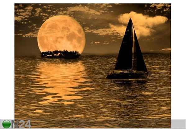 Taulu SURREAL NIGHT 75x60 cm