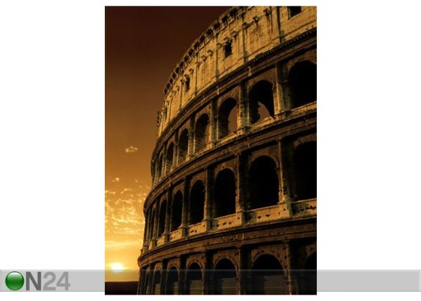 Taulu THE COLOSSEUM IN ROME 70x96 cm