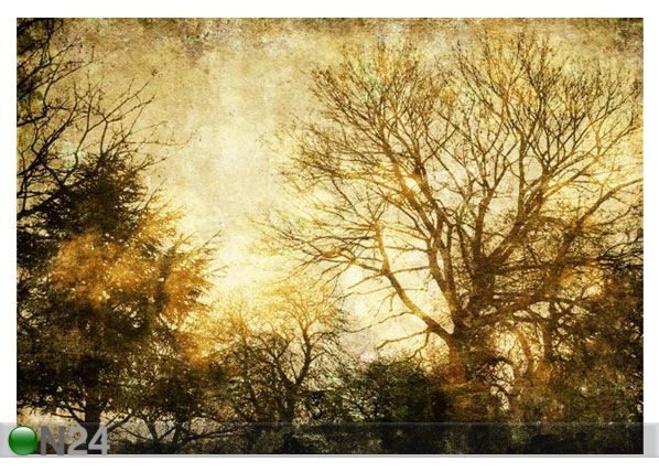 Taulu VINTAGE FOREST 58x40 cm