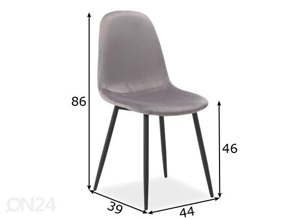 Tuoli mitat
