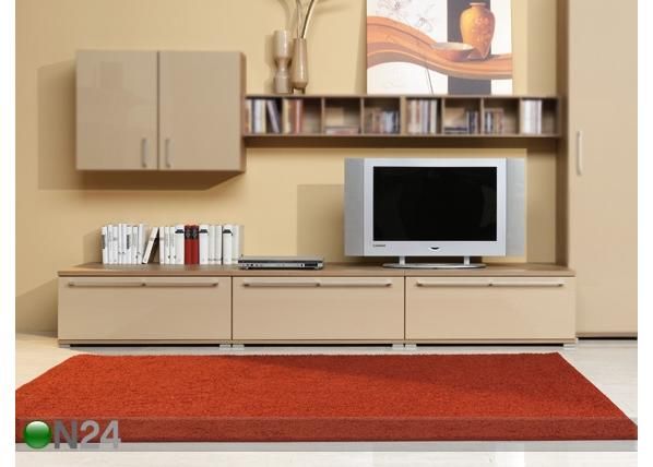 TV-taso RIO ART