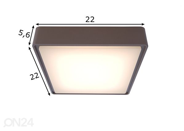 Ulkovalaisin Quadra 10 W LED mitat