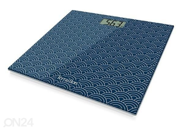 Vaaka One Umi Terraillon 14992