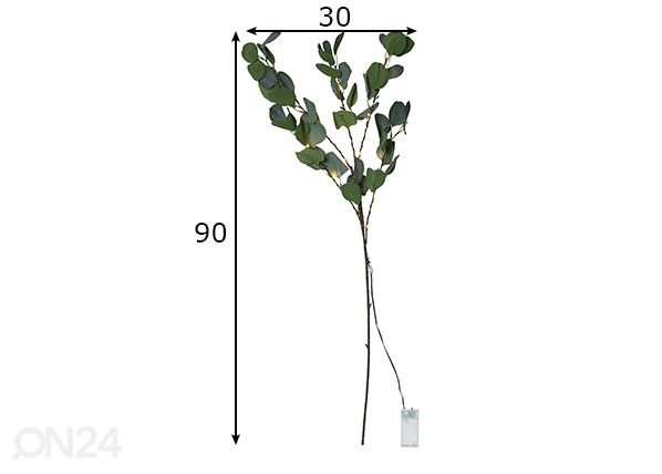 Valokoriste Eukalyptus mitat