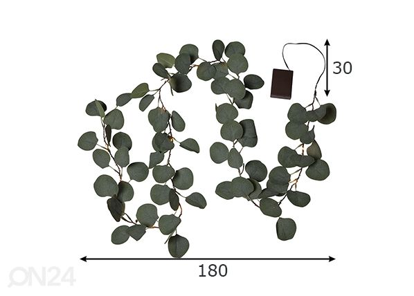 Valoseppele Eucalyptus mitat