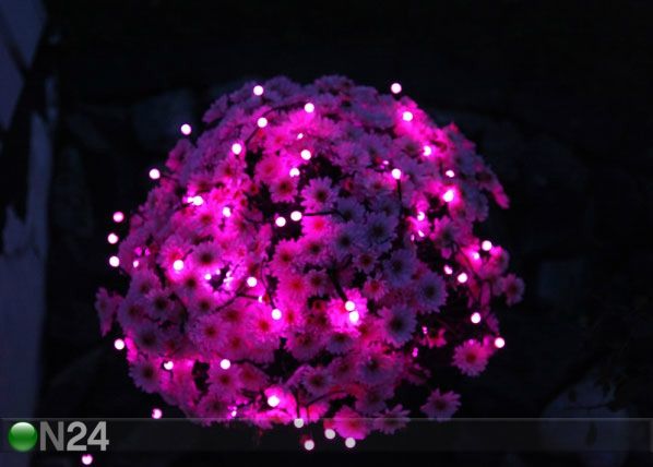 Värikkäät valot PARTY 80 LED