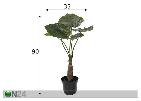 Vehkakasvi TARO 90 cm mitat