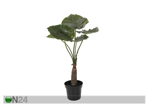 Vehkakasvi TARO 90 cm