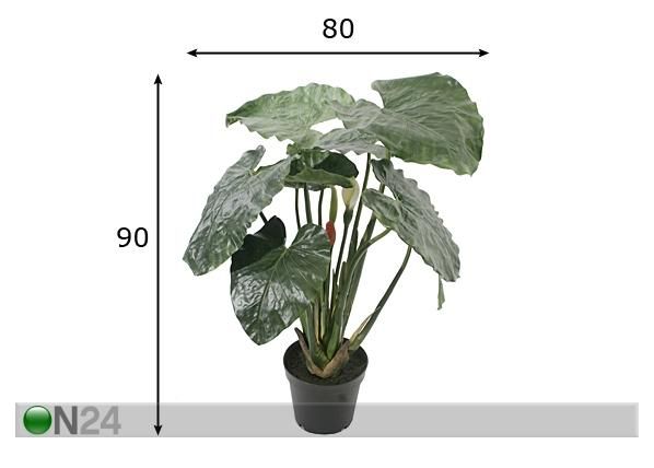 Viherkasvi 90 cm mitat