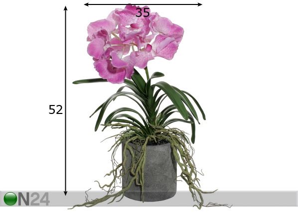 Violetti ORKIDEA mitat