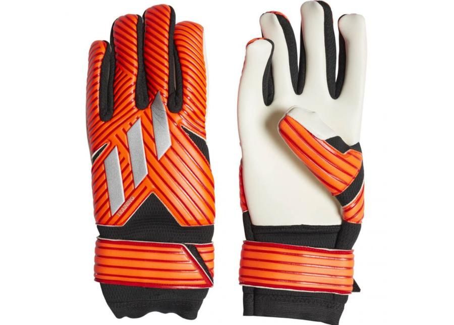 Aikuisten maalivahdin hanskat adidas NMZ TRN MDY2588 kuvasuurennos