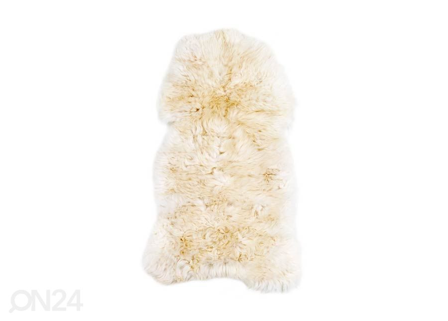 Aito lampaantalja British white 65x105 cm kuvasuurennos