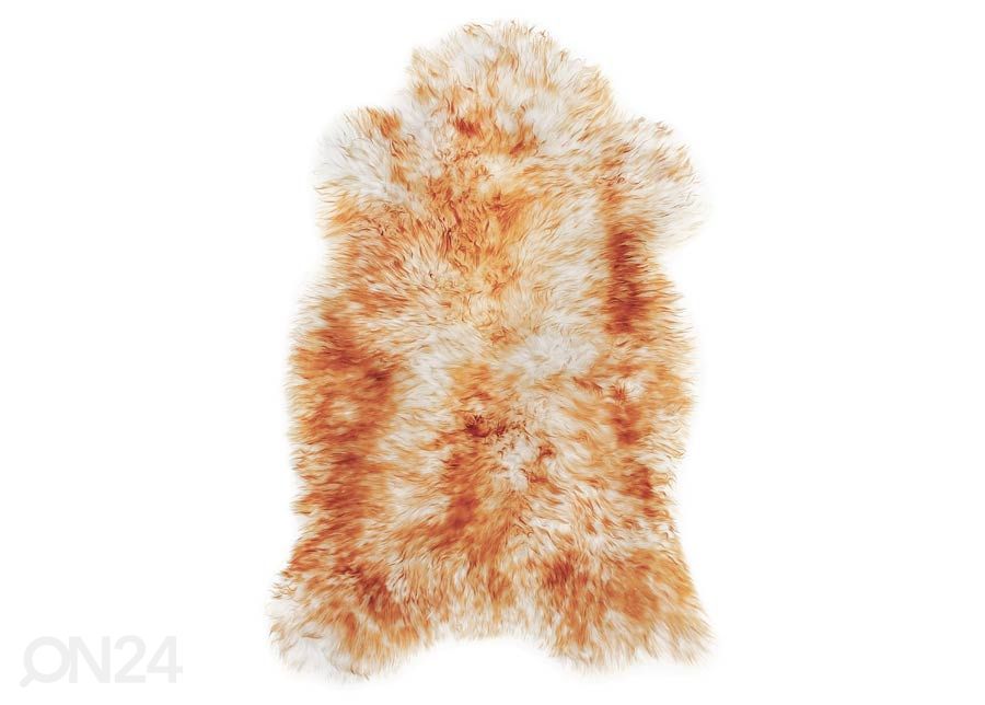 Aito lampaantalja British white-brown 60x90 cm kuvasuurennos