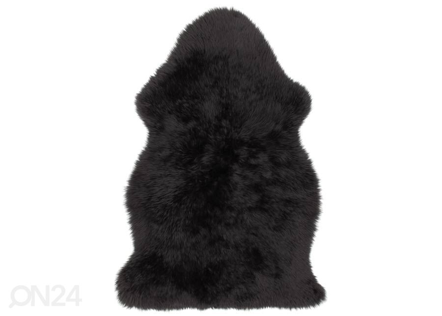 Aito lampaantalja Merino black M ±60x90 cm kuvasuurennos