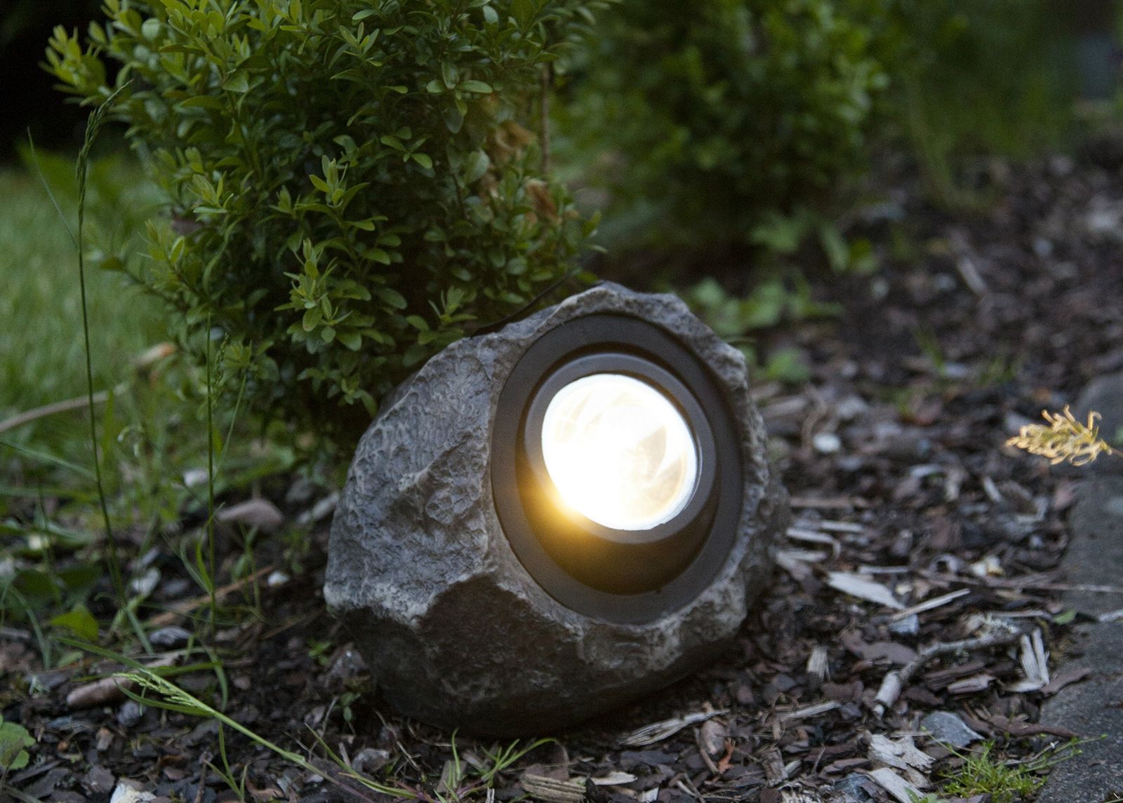 Aurinkokennovalaisin Kivi kuvasuurennos