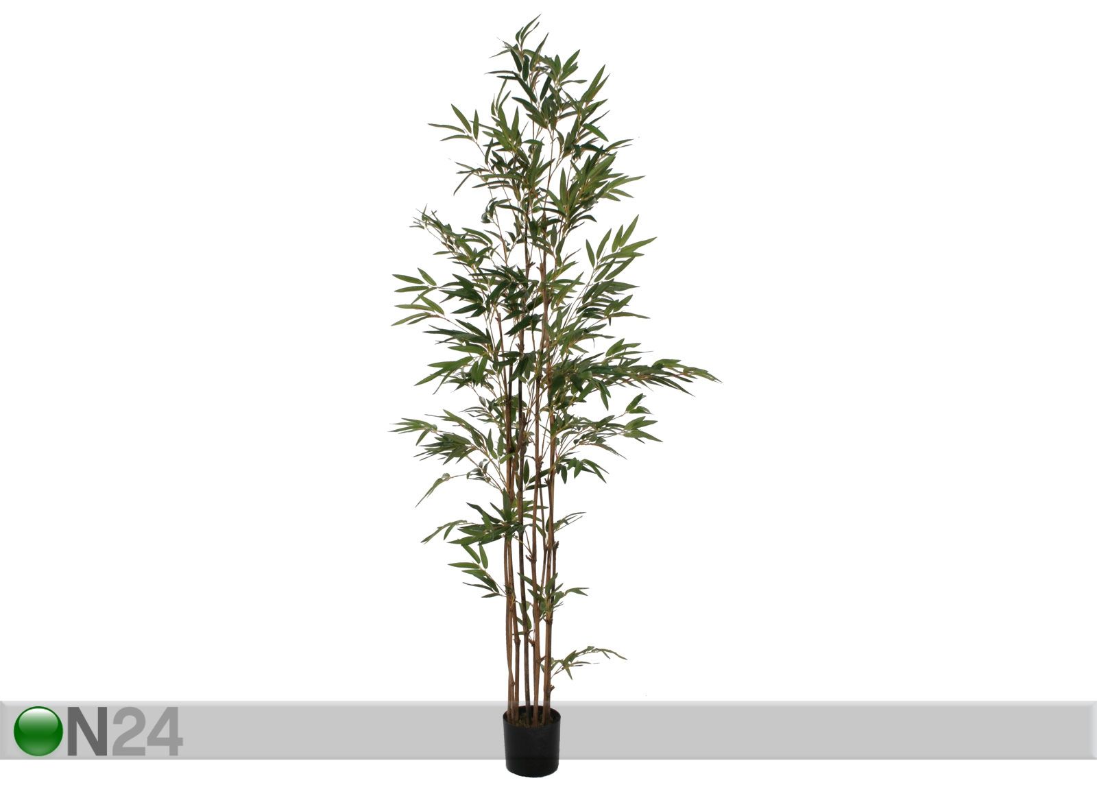 Bambu 165 cm kuvasuurennos
