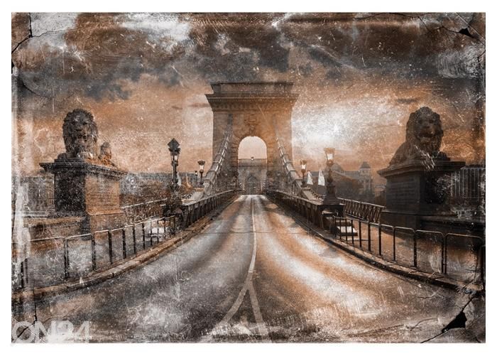 Fleece-kuvatapetti Art Mural Bridge In Budapest 400x260 cmcm kuvasuurennos