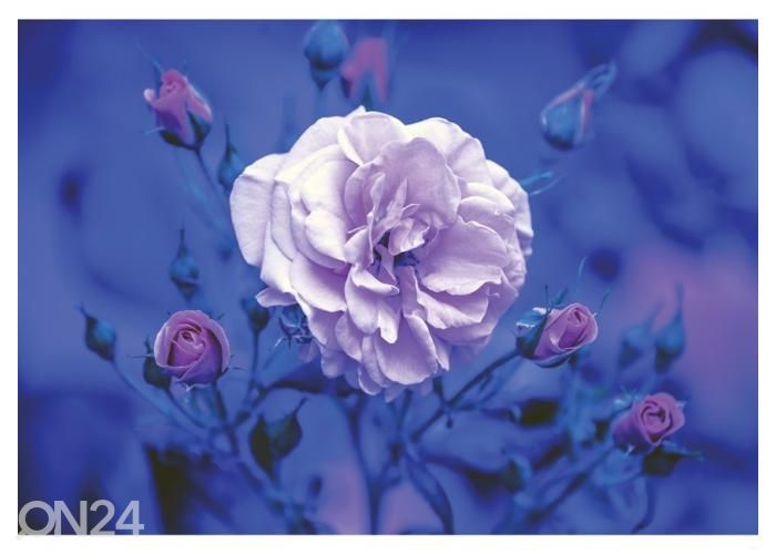 Fleece kuvatapetti Blue Vintage Rose 416x290 cm kuvasuurennos