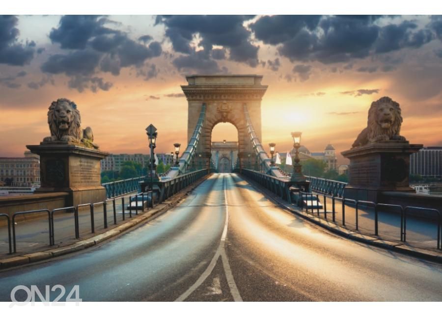 Fleece kuvatapetti Bridge In Budapest 416x290 cm kuvasuurennos
