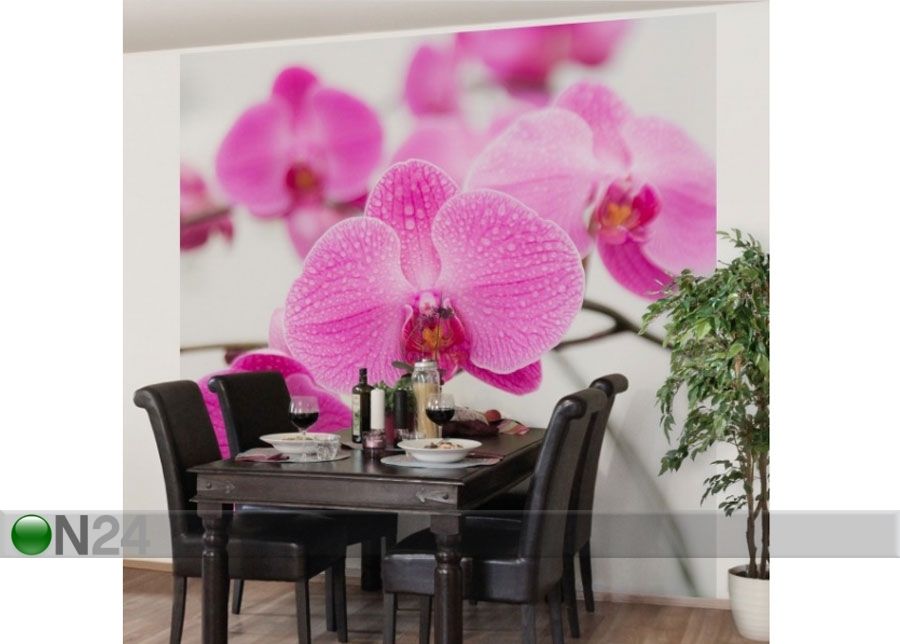 Fleece-kuvatapetti CLOSE UP ORCHID kuvasuurennos