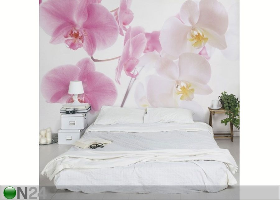 Fleece-kuvatapetti DELICATE ORCHIDS kuvasuurennos