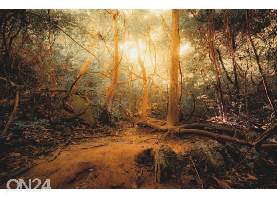 Fleece kuvatapetti Fantasy Jungle Forest 400x260 cm kuvasuurennos