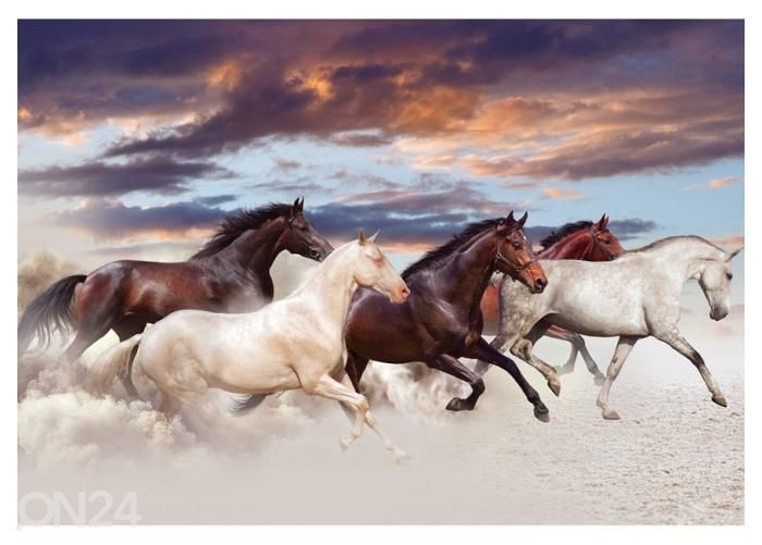 Fleece kuvatapetti Five Horses Run Gallop in Desert at Sunset 368x254 cm kuvasuurennos