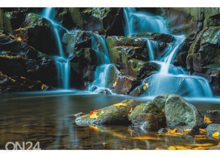 Fleece kuvatapetti Flowing Forest Stream 400x260 cm kuvasuurennos