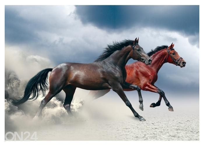 Fleece kuvatapetti Horses Running at a Gallop Along the Sandy Field 416x290 cm kuvasuurennos