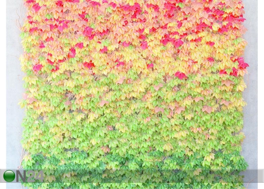 Fleece-kuvatapetti LEAVES 360x270 cm kuvasuurennos