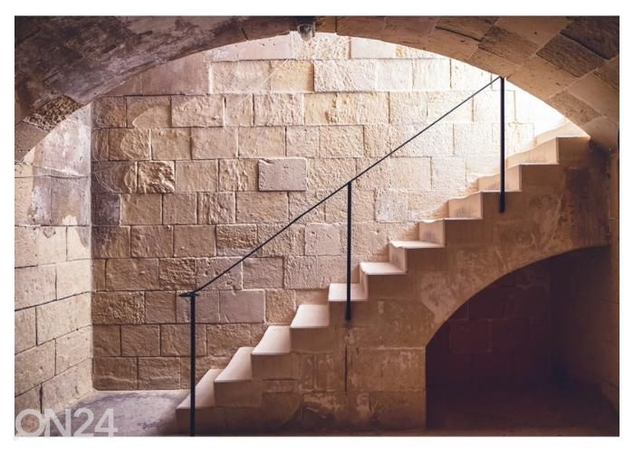 Fleece kuvatapetti Mural Old Cellar Steps 400x260 cm kuvasuurennos
