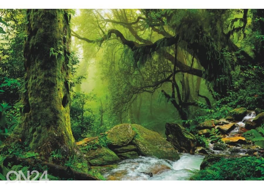Fleece kuvatapetti Nepal Jungle 368x254 cm kuvasuurennos