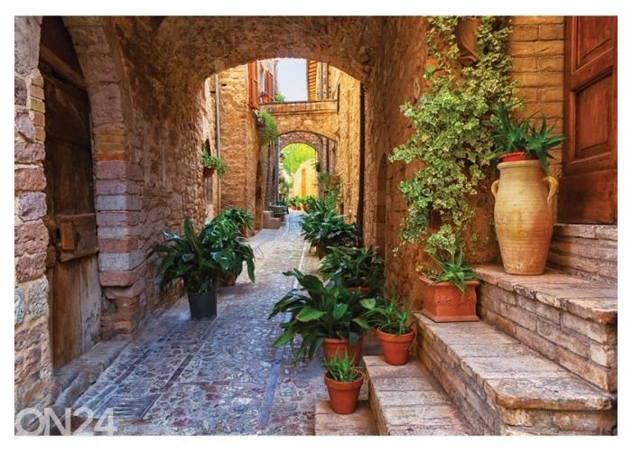 Fleece kuvatapetti Plants in Pots on Narrow Streets of the Ancient 400x260 cm kuvasuurennos