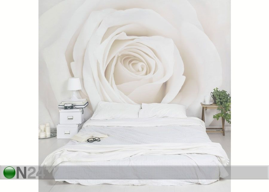 Fleece-kuvatapetti PRETTY WHITE ROSE kuvasuurennos