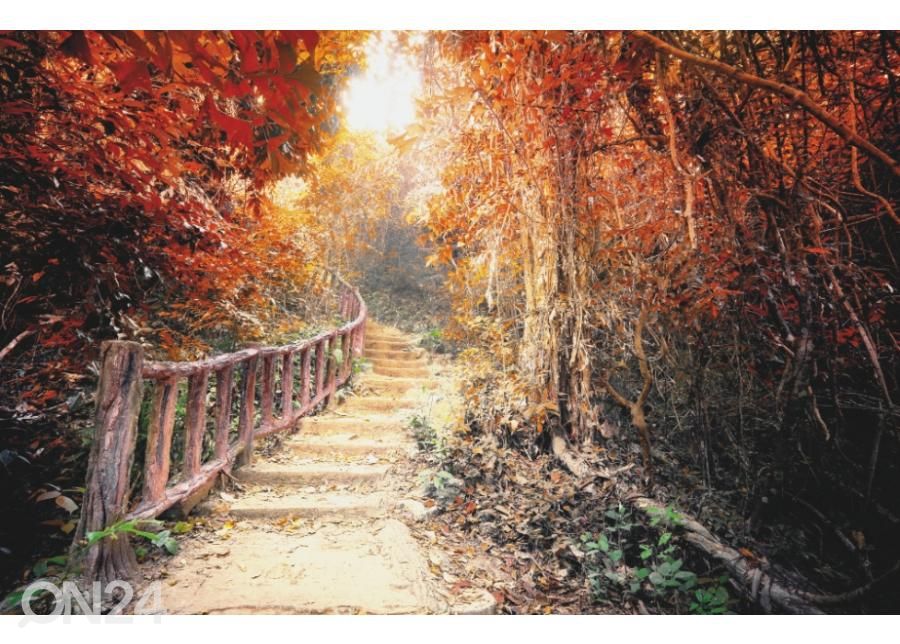Fleece kuvatapetti Road Path In The Fantasy Forest 400x260 cm kuvasuurennos