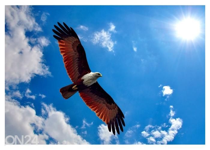Fleece-kuvatapetti Sea Eagle 416x290 cm kuvasuurennos