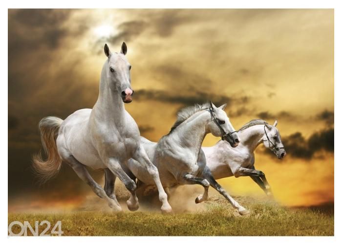 Fleece kuvatapetti White Horses 400x260 cm kuvasuurennos