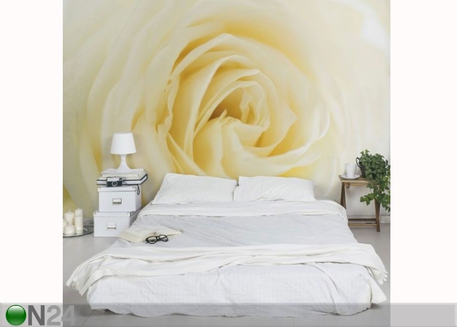 Fleece-kuvatapetti WHITE ROSE kuvasuurennos