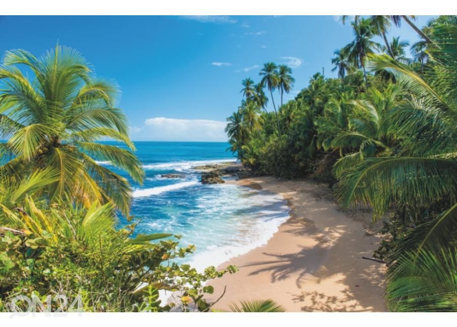 Fleece kuvatapetti Wild Beach in Costa Rica 400x260 cm kuvasuurennos
