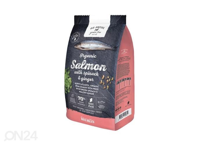Go Native koiranruoka lohta pinaatilla ja inkiväärillä 800 g kuvasuurennos