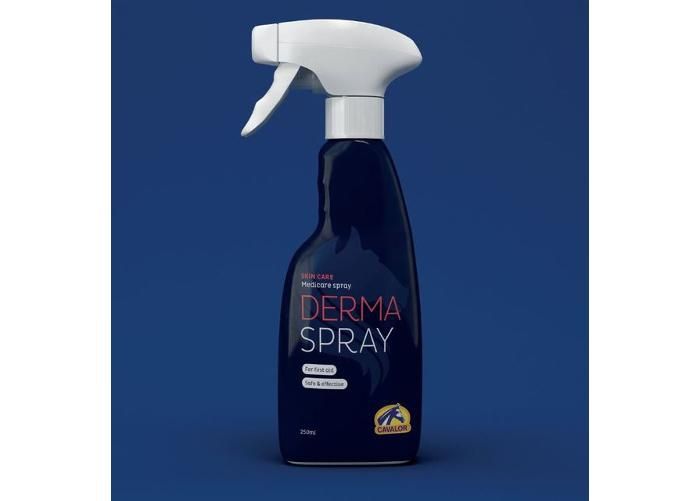 Hevonen haavasuihke dermis spray 250 ml kuvasuurennos